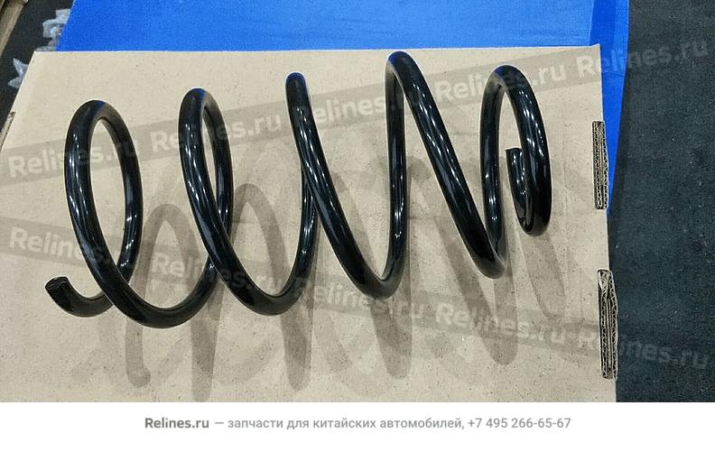 Coil spring, frt - 401***000