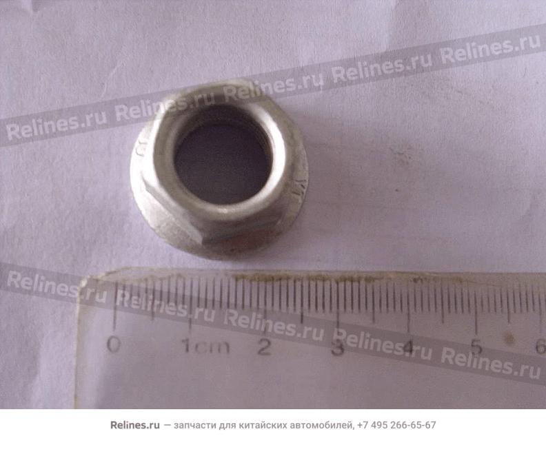 Hexagon flange nut