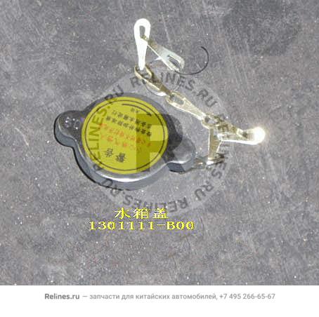 Radiator filler cap - 1301***B00