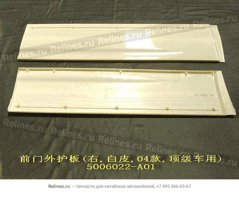 FR door panel RH - 5006***A01