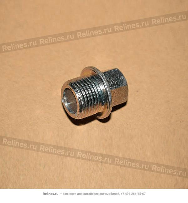 Megnetic oil plug - 5T14-***026D