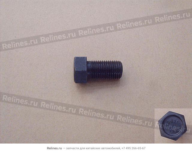 Camshaft bolt - 1006***E00