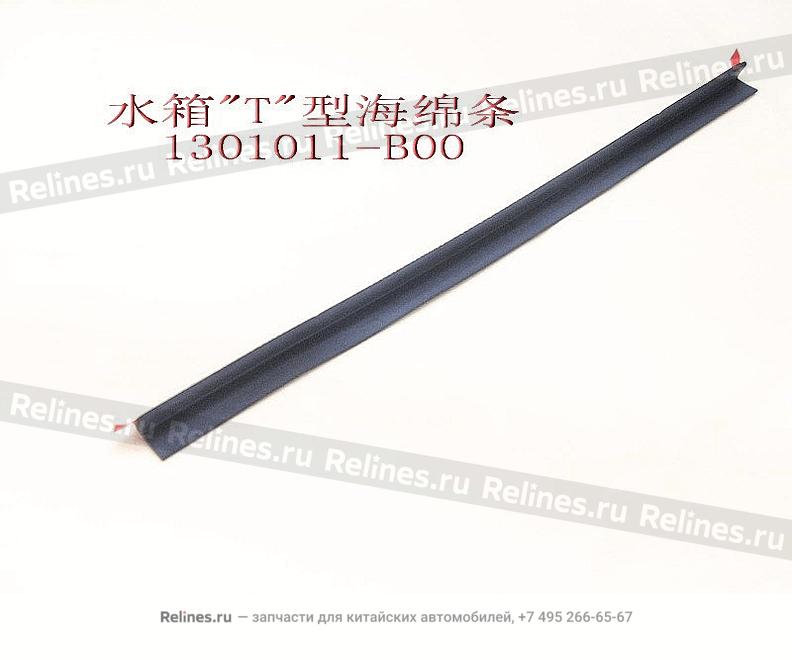 Radiator rub strip - 1301***B00