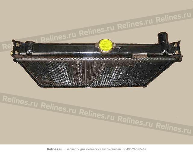 Radiator assy(economic) - 1301***D62