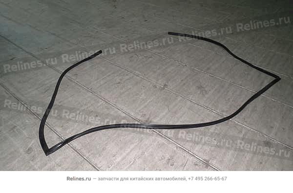 Rubber strip-fr windshield