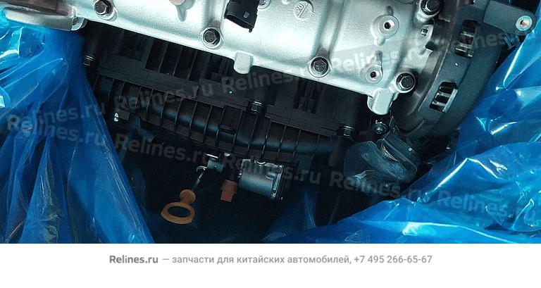 Gasoline engine assy - 101***900