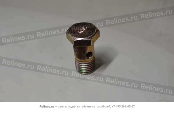 Hollow screw - 484J***4036