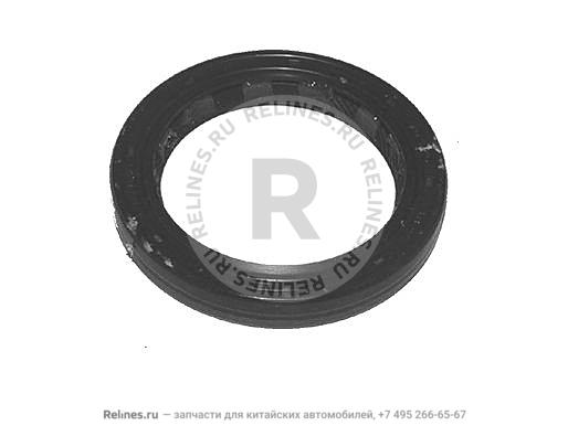 Oil seal - input shaft