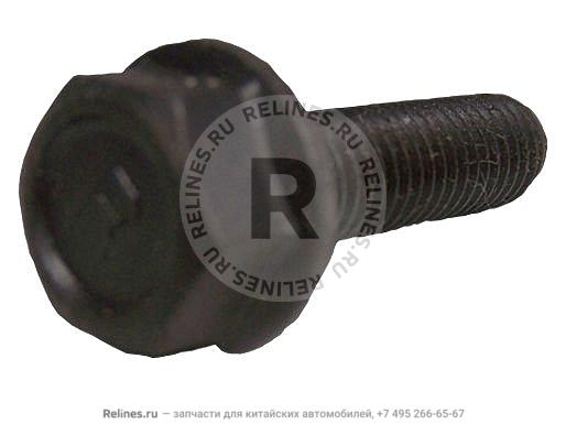 Screw - 462-***248