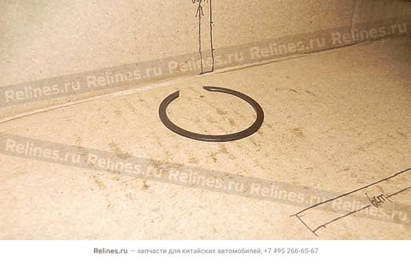 Bearing retaining ring