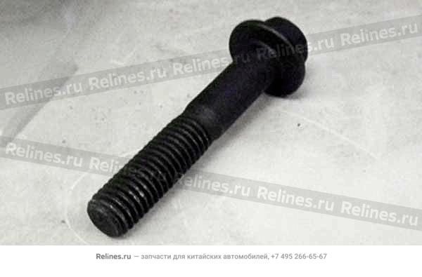 Bolt(M10x55)