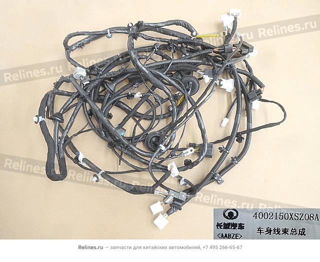 Harness assy body - 40021***Z08A