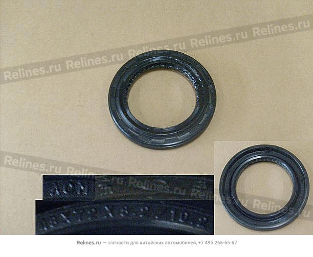 Otr oil seal assy-rr brg - 2403***-K00