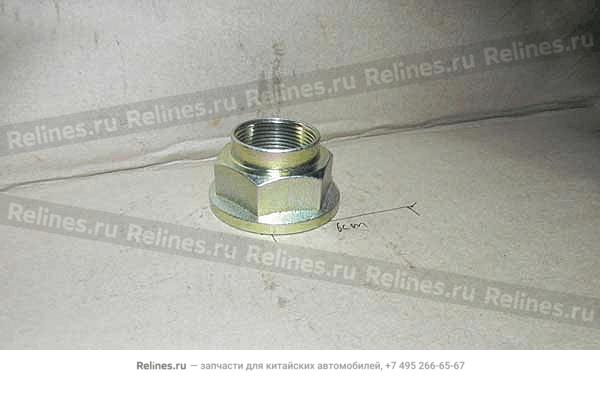 Nut-rr axle half shaft - P11-***104