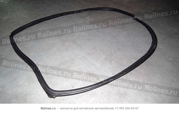 Seal strip-rr door RH