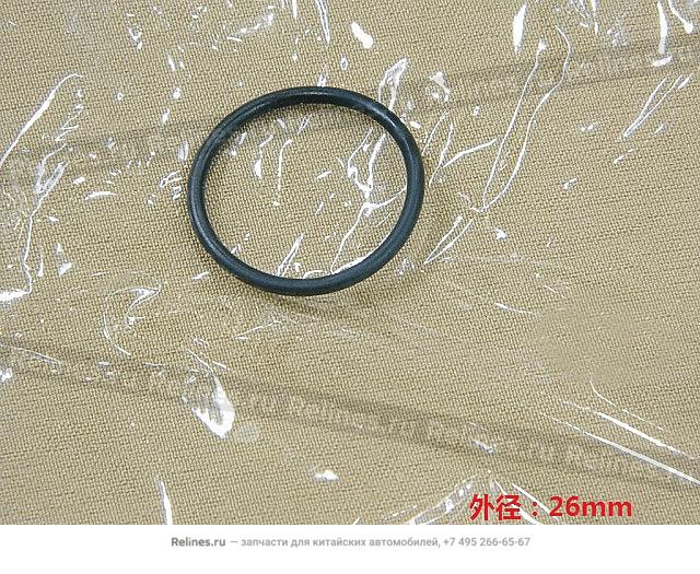 Shifting shaft o-gasket