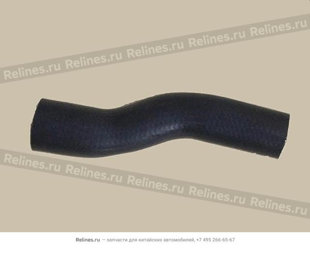 Radiator LWR hose