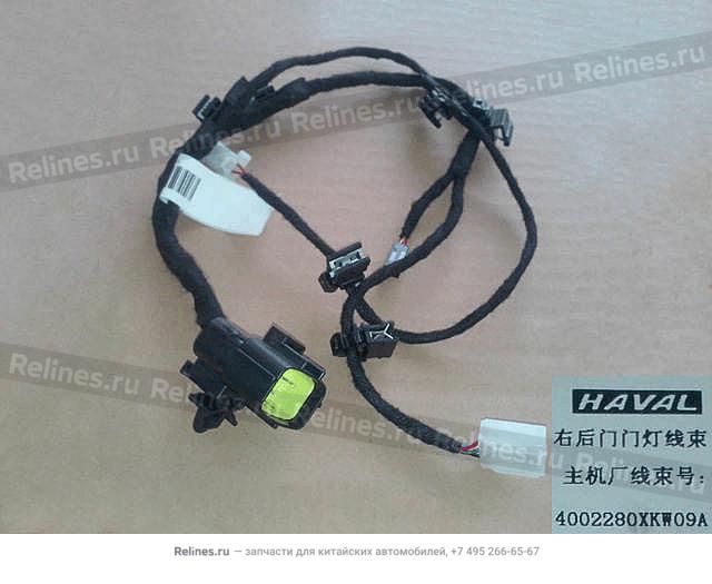 RR door lamp harness assy RH - 40022***W09A