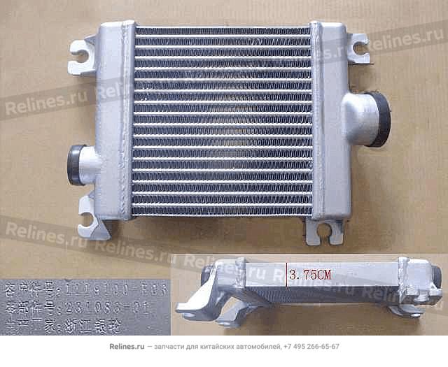 Intercooler - 1119***E03