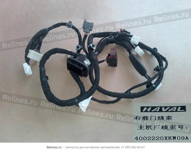 Harness assy FR door RH - 40022***W09A