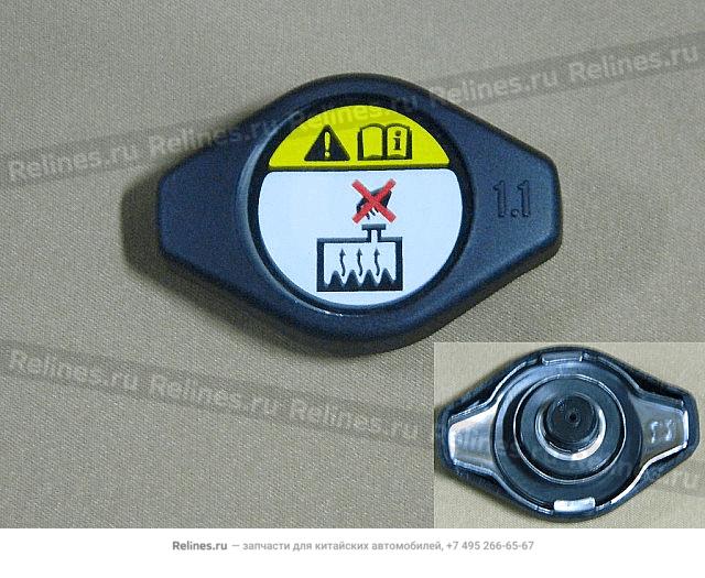 Radiator filler cap - 13041***Z16A