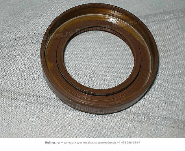 Left oil seal - 317***220