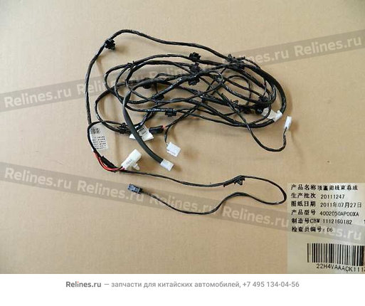 Roof harness assy FR