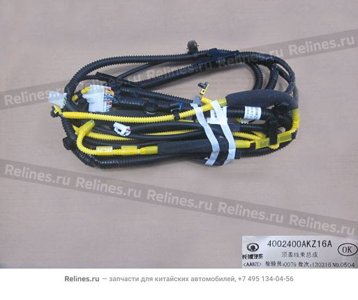 Roof harness assy no.2