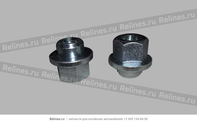 Spare tire fixed nut - T11-***113