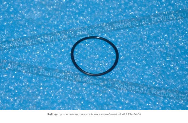 Rubber ring - BS10-***02015