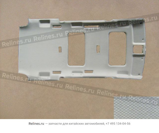Roof liner assy
