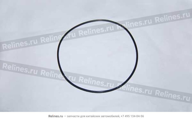 Уплотнительное кольцо масляного насоса - 481H-1011022