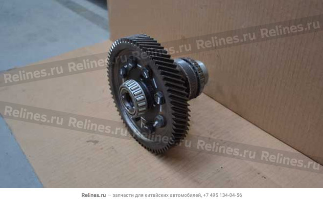 Differential - 523MT***03100