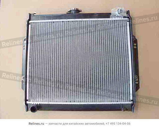 Radiator assy(Safe nose export cold plac - 13011***44-B1