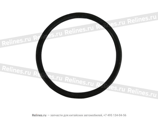 Уплотнительное кольцо - A21-B***7155