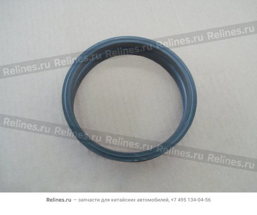 Seal ring(fuel tank) - 1101***V08