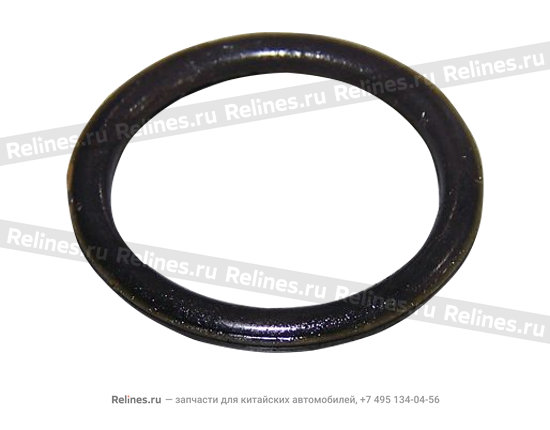 Прокладка канала маслянного насоса (кольцо) - 481H-1002037