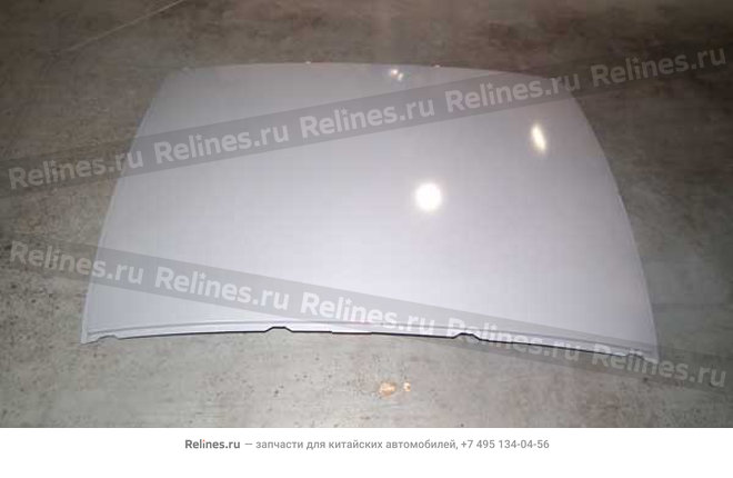 Roof panel assy (electroplated) - B11-5***00-DY
