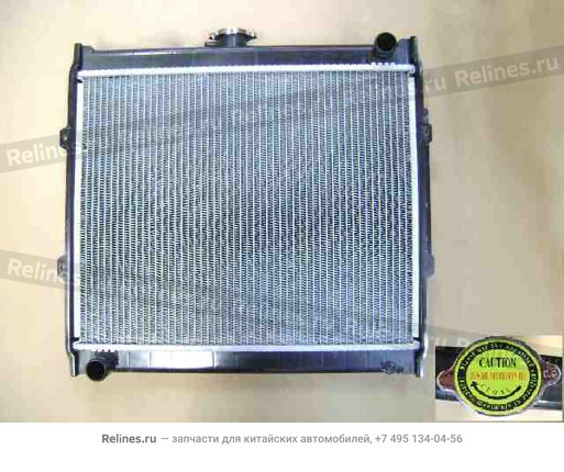 Radiator assy(export cold place w/o fan