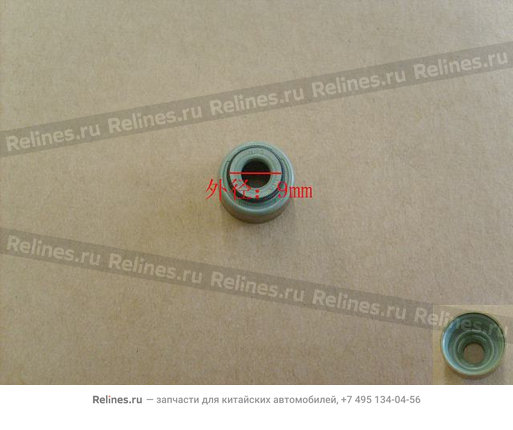 Колпачок маслосьемный выпускного клапана - 1007013-E10