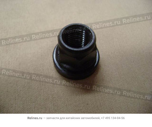 Nut(exhaust pipe end) - 1003***E00