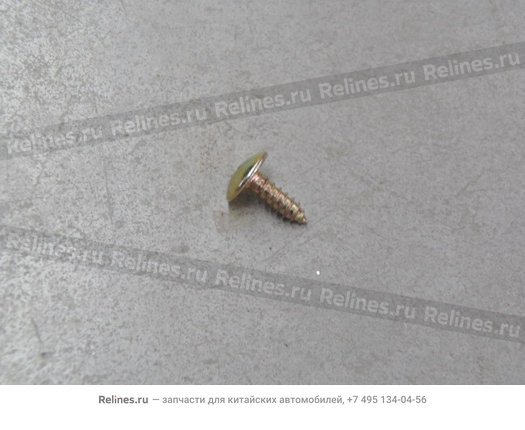 Philips self-tapping screw