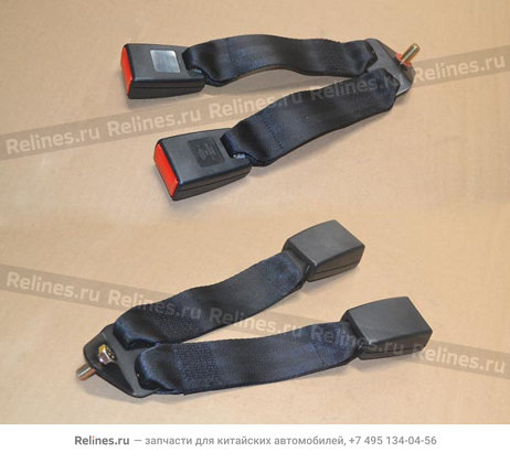 Double lock buckle-safety belt