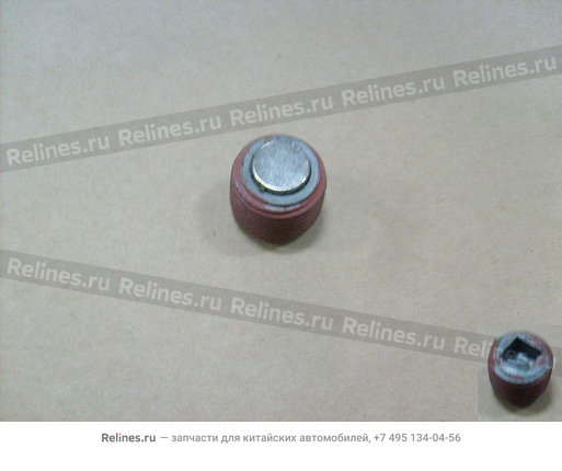 Oil filler plug - 2402402-M18