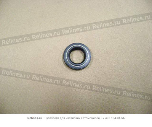 Oil seal-strg gear valve(henglong)
