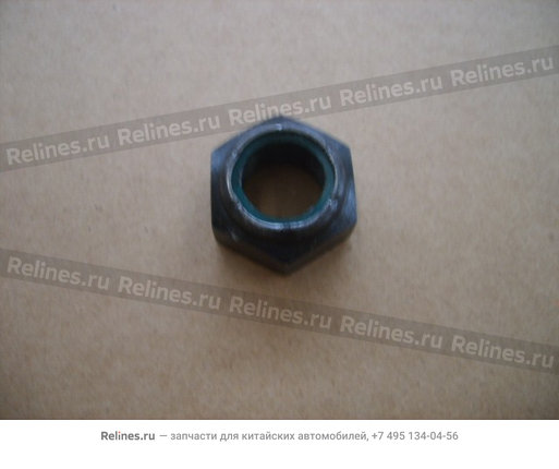 Nut(RR flange plate) - 19-00-149-001