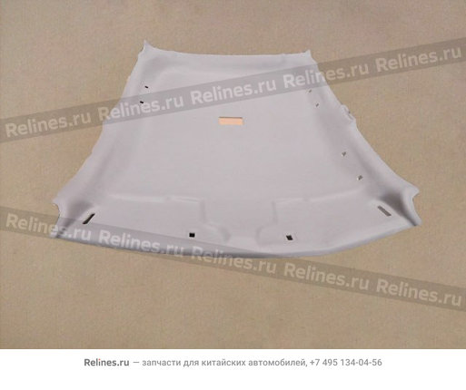 Roof assy - 570210***9XCCD