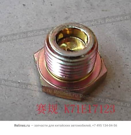 Plug - K71E17123