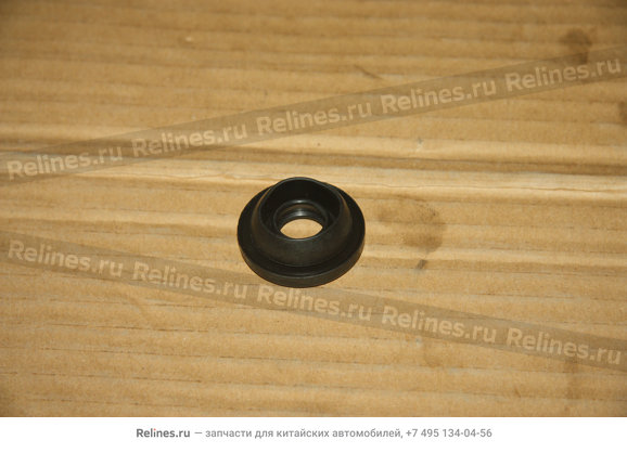 "front water pipe plug(CE-1,CE-2)" - 507***300