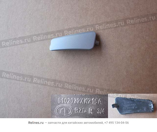 UPR screw panel-fr door handle RH - 610202***16ABD
